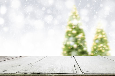 Close-up of wooden plank with christmas trees in background during winter