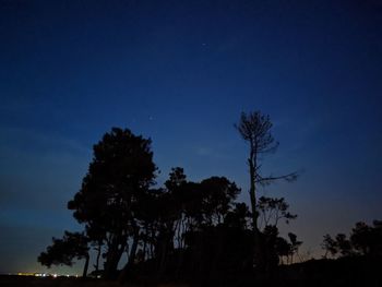 Low angle view of silhouette trees against sky at night