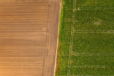 A plowed field with a brown arable soil next to a green field in germany taken from above