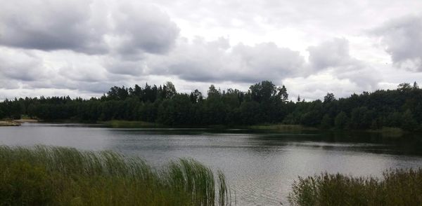 Scenic view of lake in forest against sky