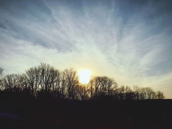 Silhouette trees against sky during sunset