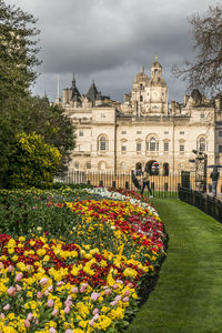 Colorful flowerbed with household division carity in background