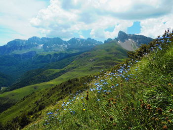 Scenic view of landscape against sky