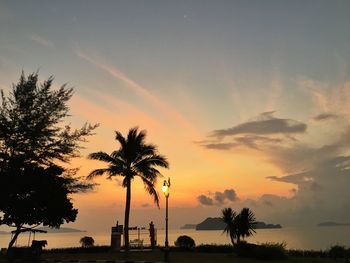 Silhouette palm trees against sky during sunset