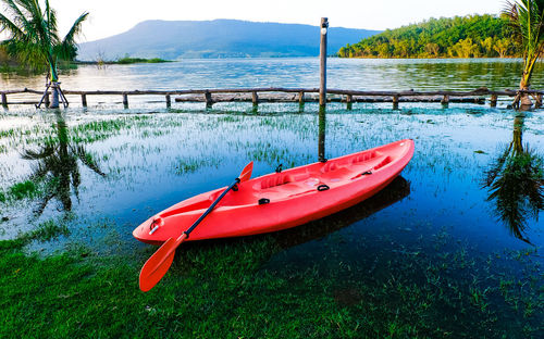 Boat moored on lake against trees