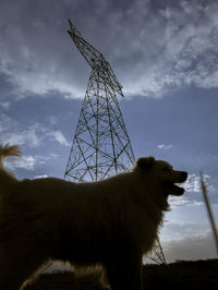 Low angle view of standing on field against sky