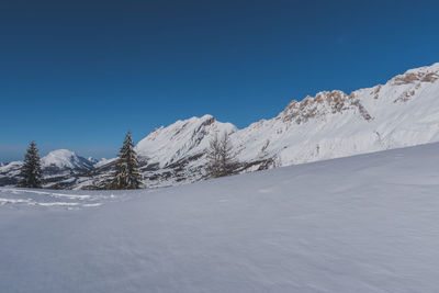 A picturesque landscape view of the french alps mountains and tall pine trees covered in snow