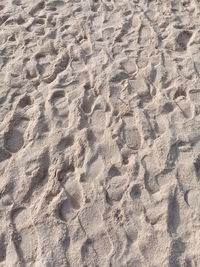 High angle view of footprints on sand at beach