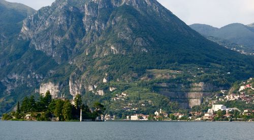 View of trees with mountain in background