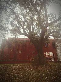 Built structure with trees in background