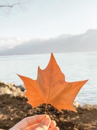 Close-up of hand holding dry maple leaf against lake during autumn