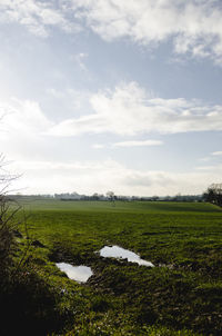 Scenic view of field against sky