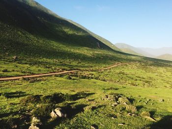 Scenic view of green landscape against clear sky