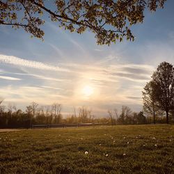 Scenic view of field against sky during sunset