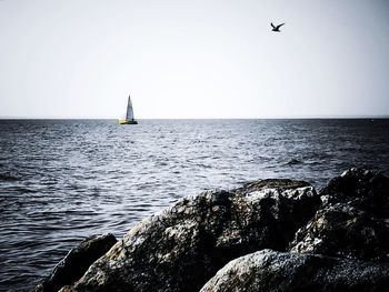 Sailboat sailing on sea against clear sky