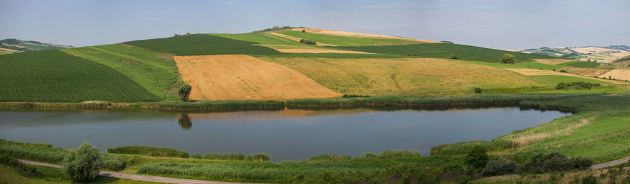 Scenic view of agricultural field against sky