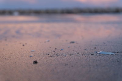 Surface level of sandy beach