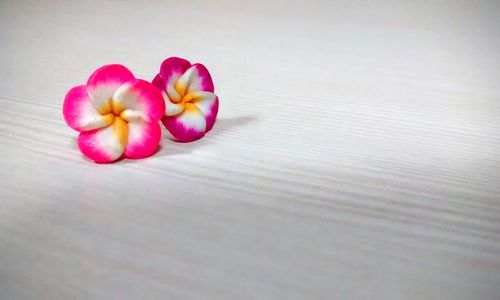 Close-up of flowers