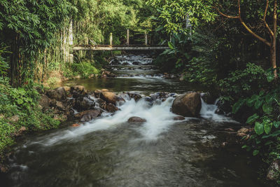 Stream flowing through rocks in forest