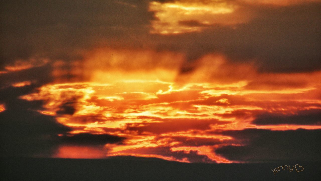 SILHOUETTE OF TREE AGAINST SKY AT SUNSET