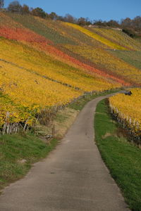 Road passing through field