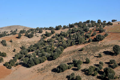 Scenic view of landscape against clear blue sky