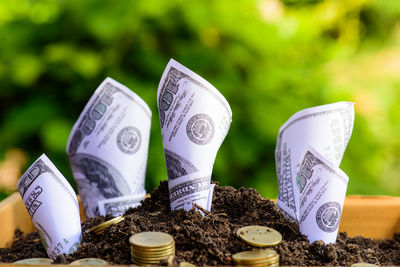 Close-up of paper currencies with coin in mud at yard