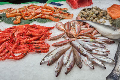 High angle view of seafood in market