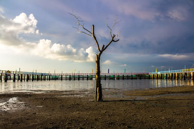 Pier on beach against cloudy sky