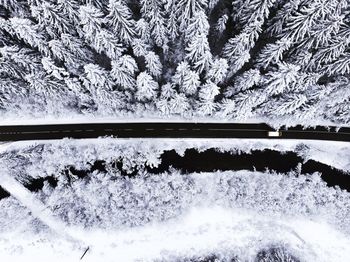 High angle view of frozen trees during winter