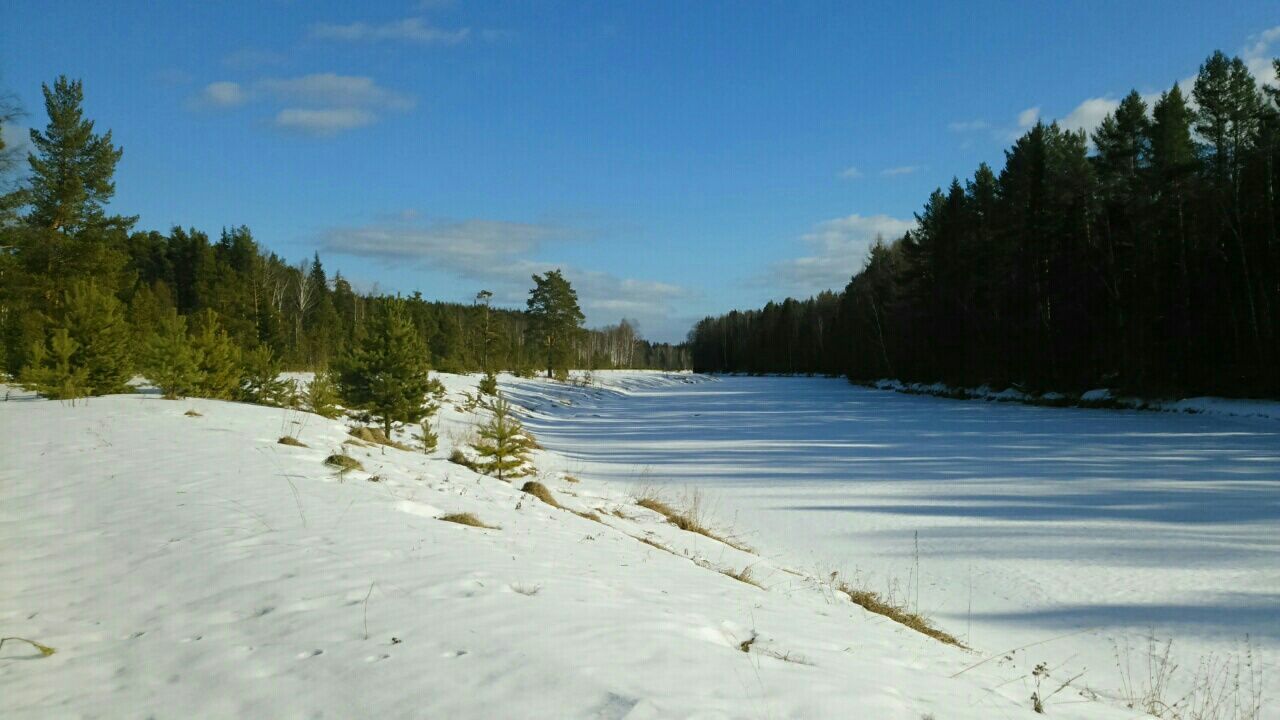 snow, winter, cold temperature, tranquil scene, tranquility, tree, season, beauty in nature, scenics, nature, landscape, sky, weather, covering, white color, frozen, non-urban scene, field, snow covered, outdoors