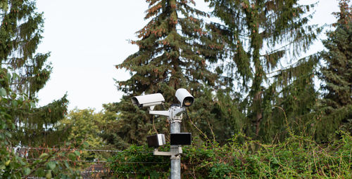 Video surveillance video surveillance system for a terrain