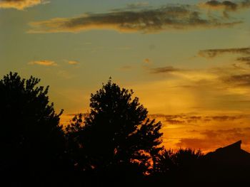 Low angle view of silhouette trees against sky during sunset