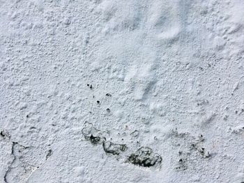 Close-up of footprints on wall