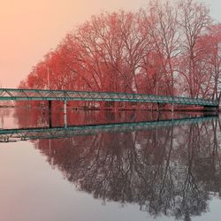 Reflection of trees in river