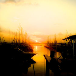 Sailboats in marina at sunset