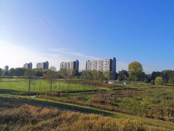 Scenic view of field against clear sky