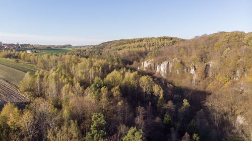 High angle view of trees on land against sky