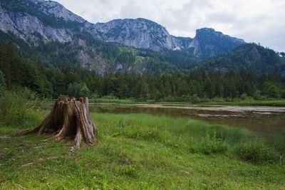 Bergsee im salzkammergut