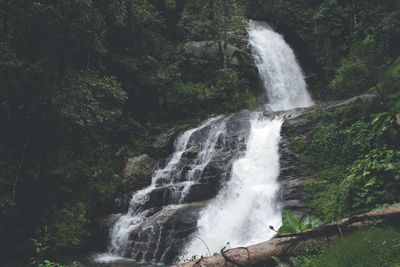 Scenic view of waterfall in forest