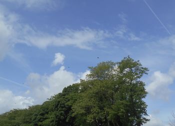 sky