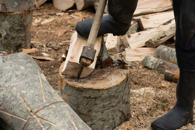 Low section of man cutting wood