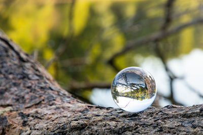 Close-up of crystal ball on rock