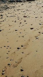 Text on sand at beach