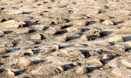 Full frame shot of pebbles on sand