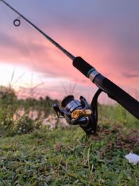 Close-up of fishing rod on field