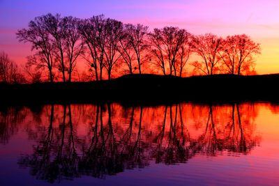 Reflection of trees in calm lake