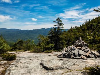 Stack of trees on mountain against sky