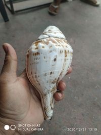 Close-up of hand holding ice cream