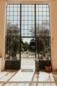 Potted plants on glass window of building